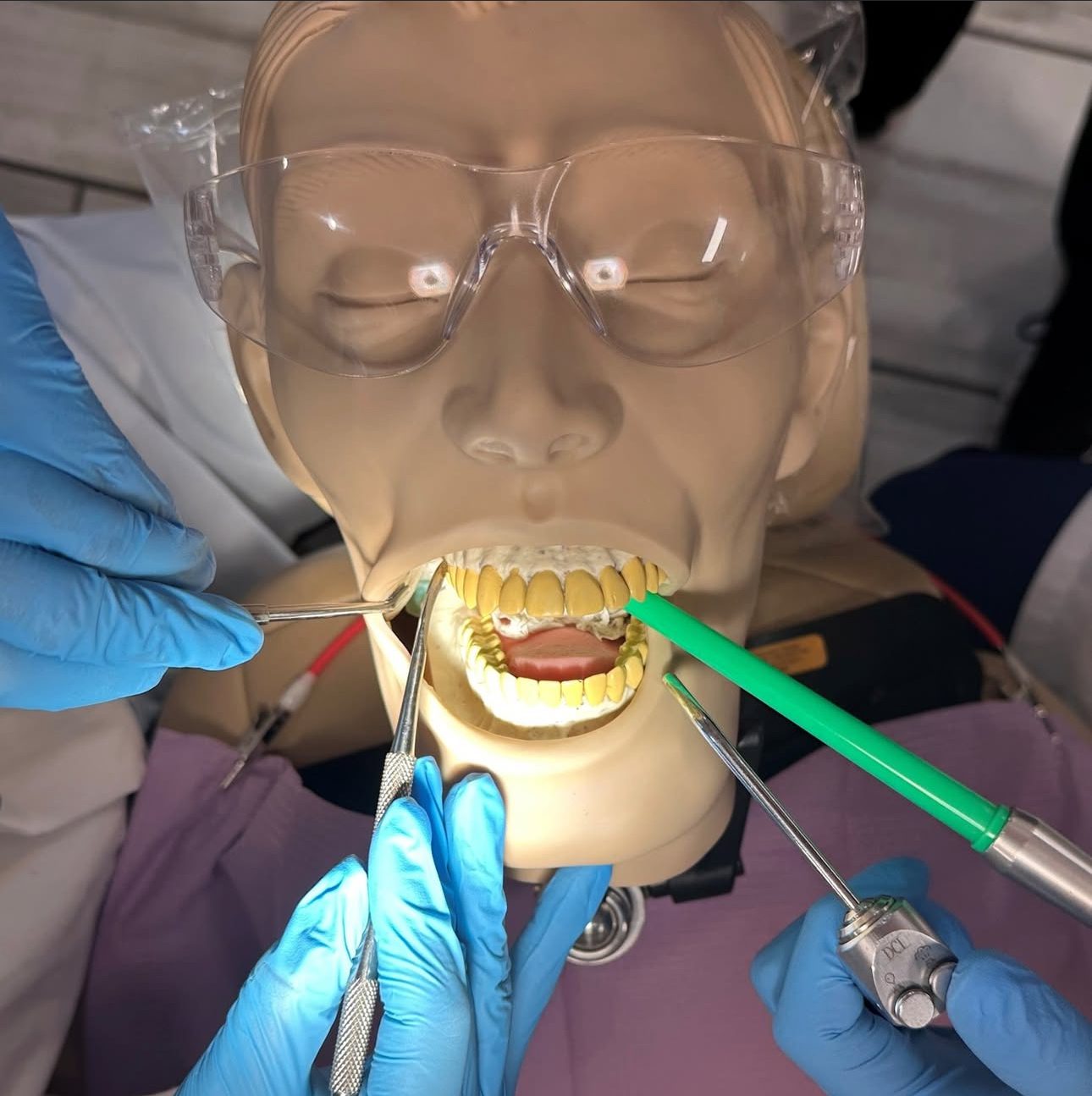 student working pic for website